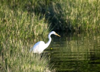 Seven Island State Birding Park