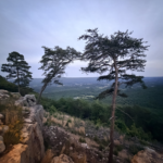 Sunset McLemore