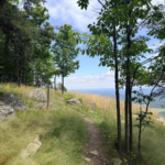 Trail at McLemore