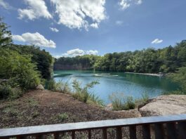 Mom's Guide To Augusta Quarry
