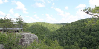 Obed Wildlife And Scenic River Park