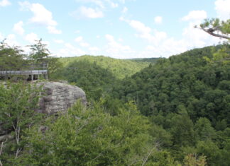 Obed Wildlife And Scenic River Park