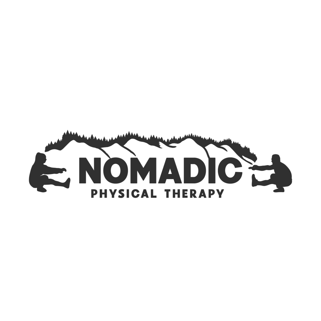 Nomadic Primary Black.png