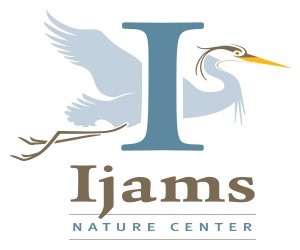Ijams- New- ad.jpg